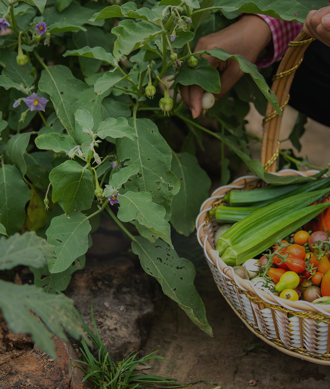 МІКРОДОБРИВА